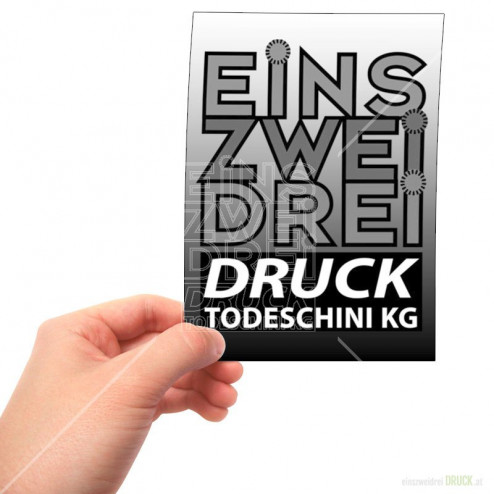 Flyer (Flugblatt) SW